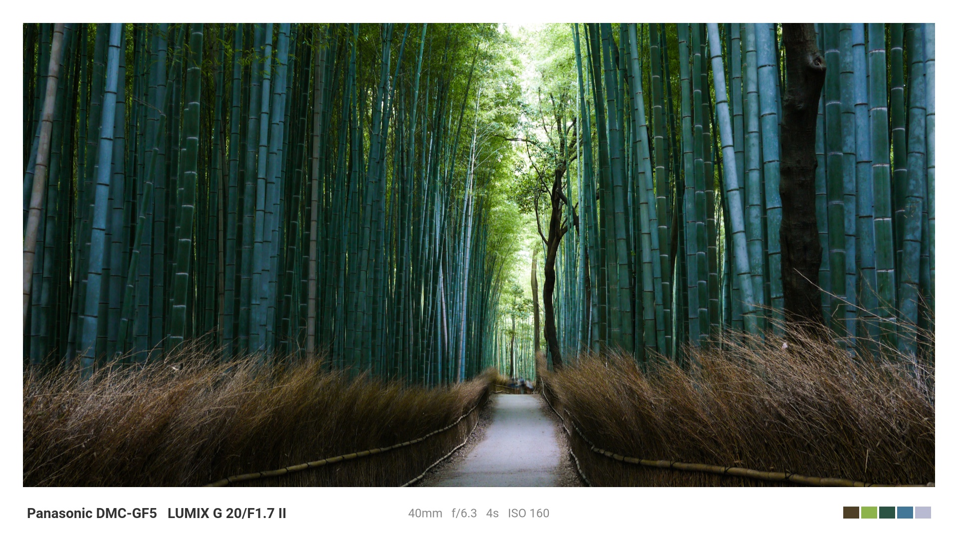 京都・嵐山の竹林の小径。左右の竹が消失点に向かって伸びる導線構図の好例。Panasonic DMC-GF5、LUMIX G 20mm F1.7 II、f/6.3、4秒、ISO 160で撮影