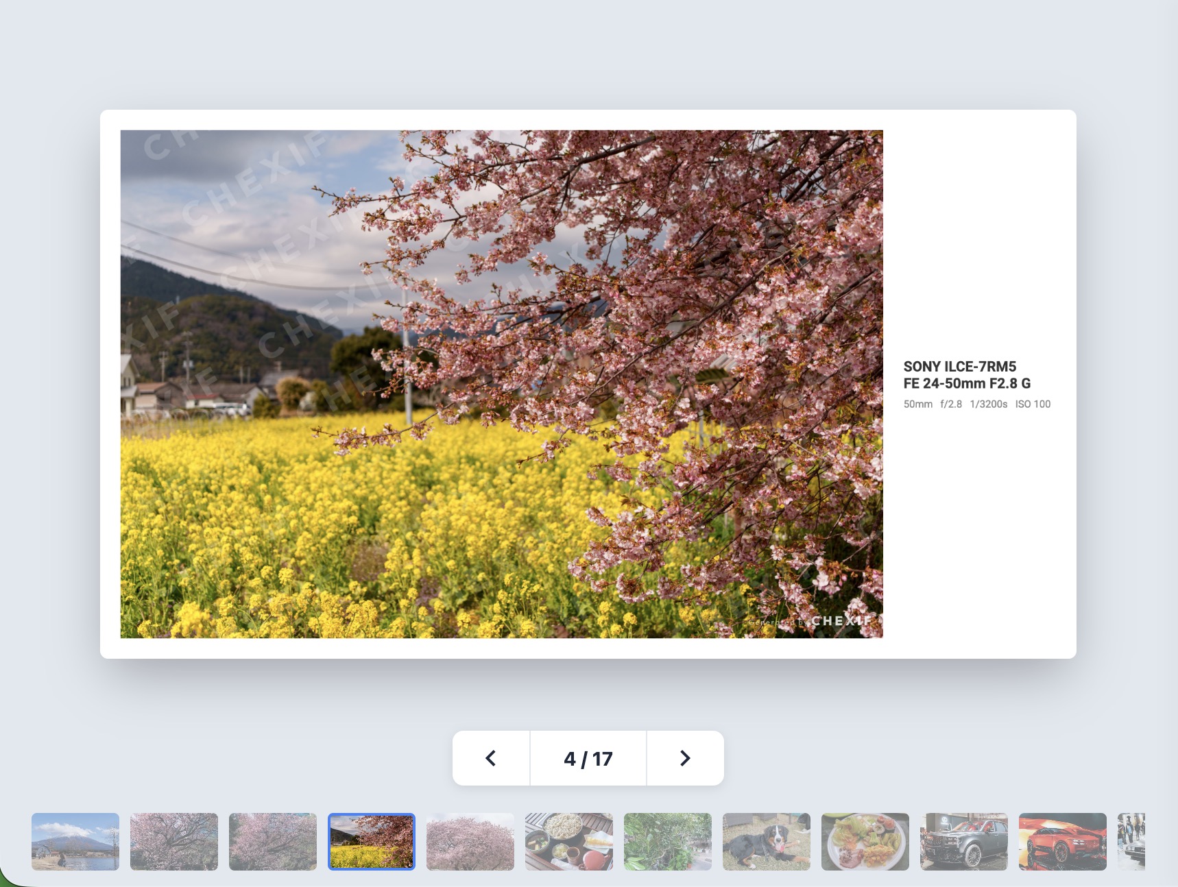 Batch applying EXIF frames to multiple photos and downloading as ZIP.