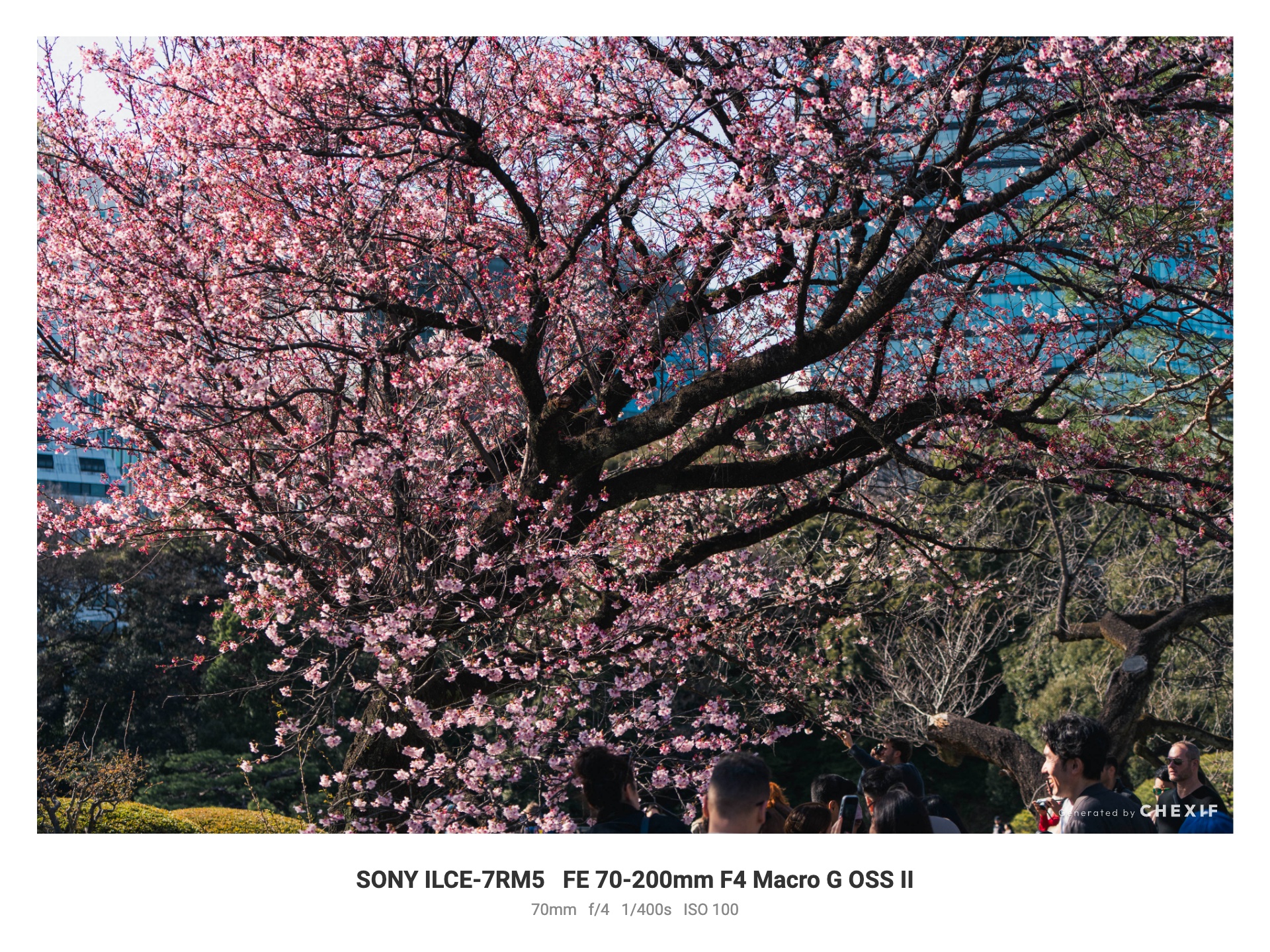 Sample EXIF frame image with camera name, lens, and shooting settings beautifully arranged below the photo.