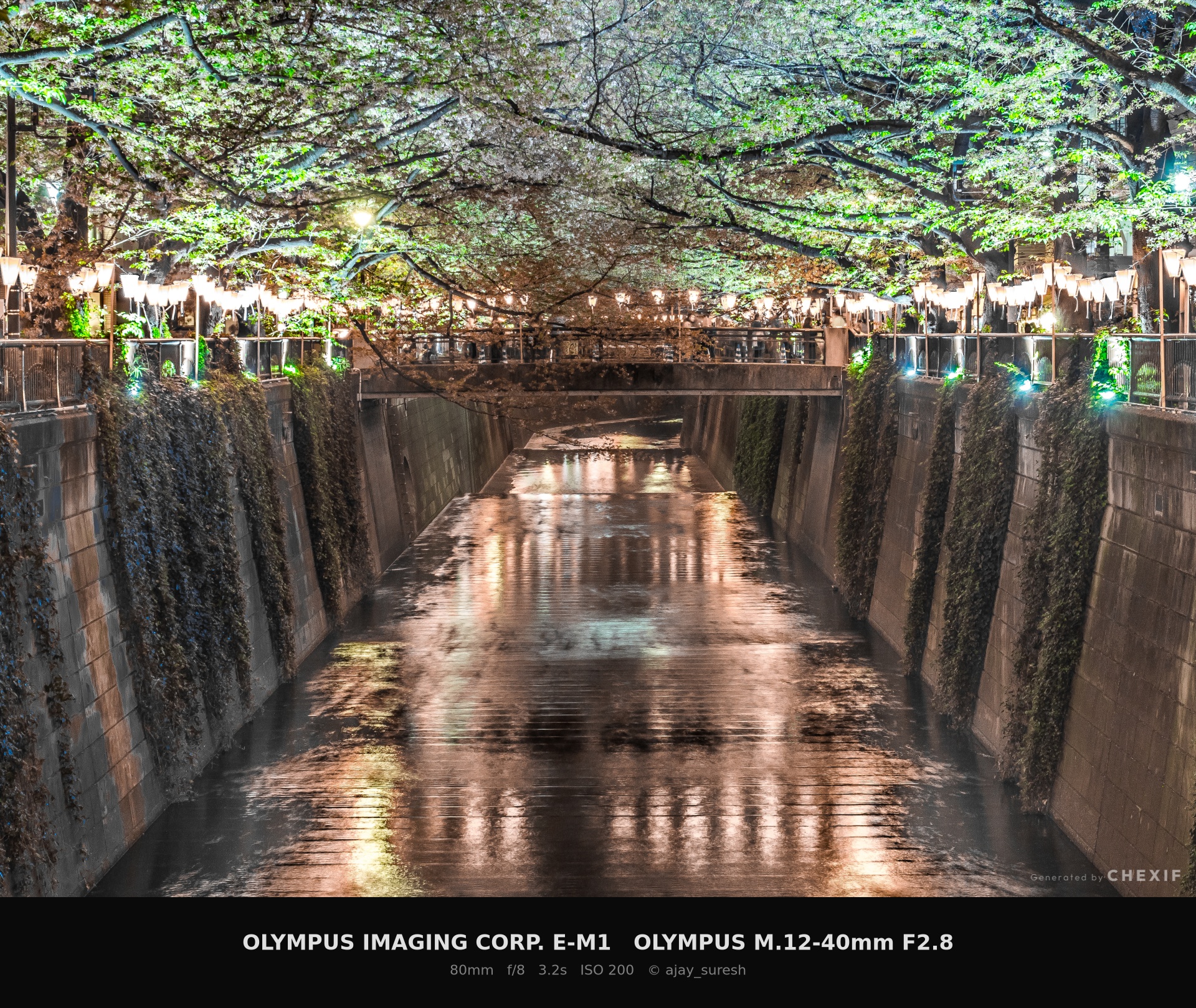 目黒川の夜桜をOlympus E-M1で長時間露光撮影したEXIFフレーム付き写真